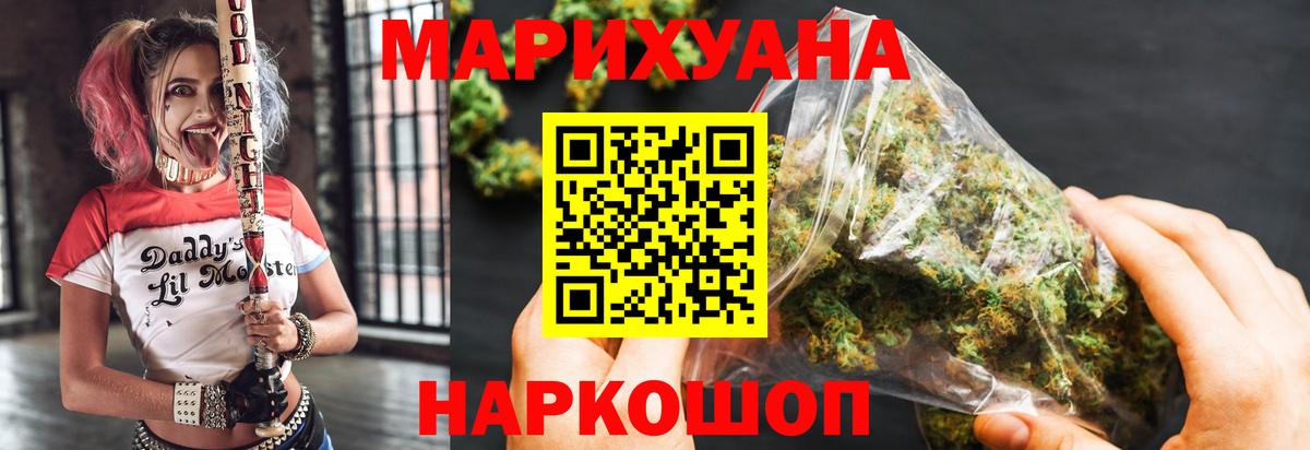 Бошки Шишки планчик Тавда
